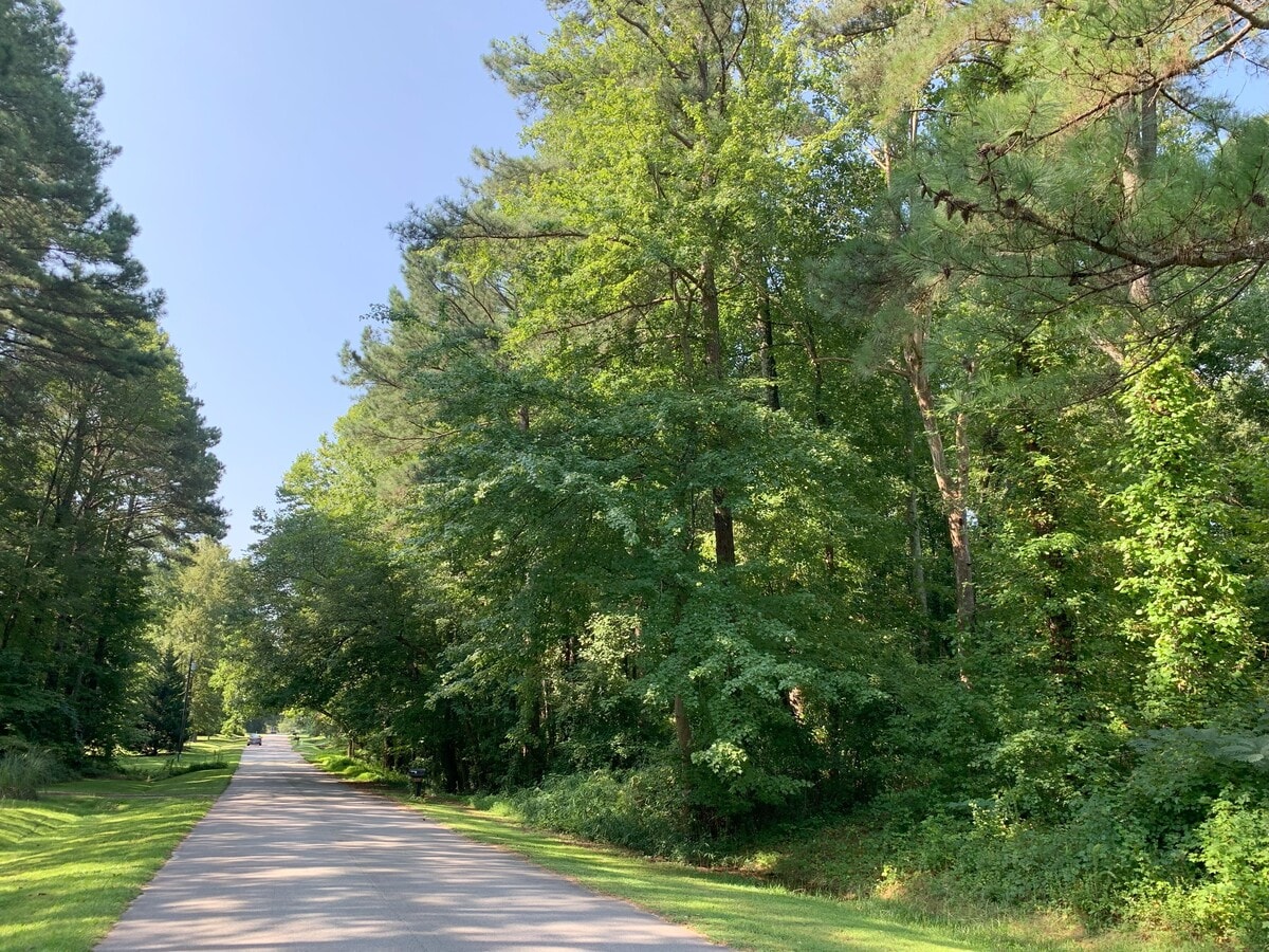 View Photo