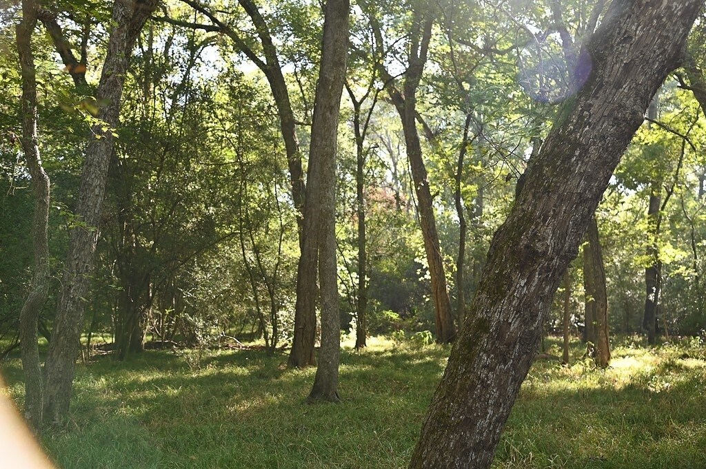 View Photo