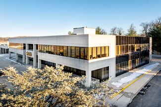 Plus de détails pour 900 Northern Blvd, Great Neck, NY - Bureau/Médical à louer