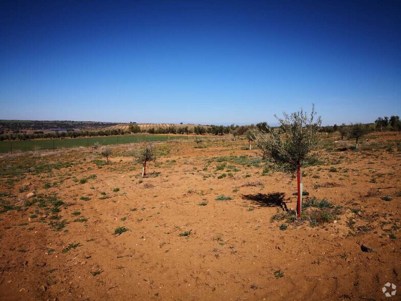 Terrain dans Layos, Toledo à vendre - Photo de l’immeuble – Image 2 sur 9