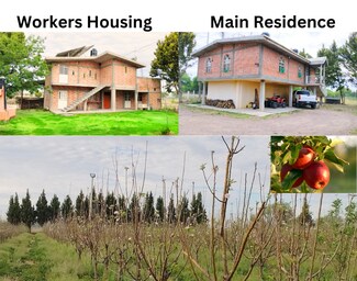 Plus de détails pour 4PJ2+JJ2 San Luis de Letras, Pabellón De Arteaga - Spécialisé à vendre