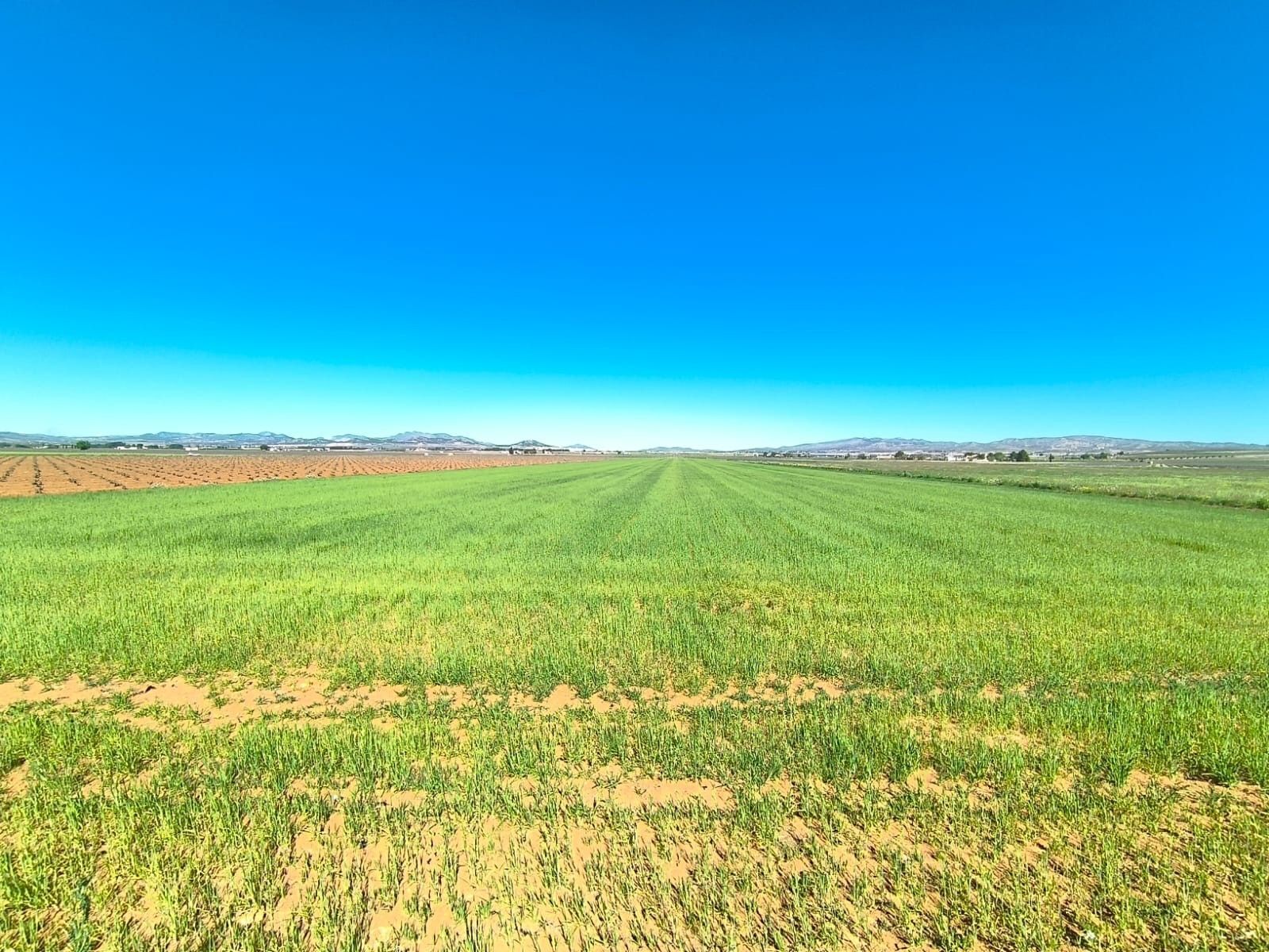 Terrain dans Yecla, Murcia à vendre Aérien– Image 1 sur 4