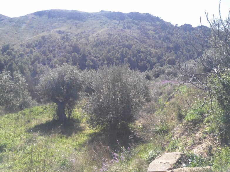 Terrain dans Calasparra à vendre - Photo de l’immeuble – Image 3 sur 10