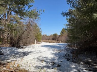 Plus de détails pour Michigan 32, Alpena, MI - Terrain à vendre