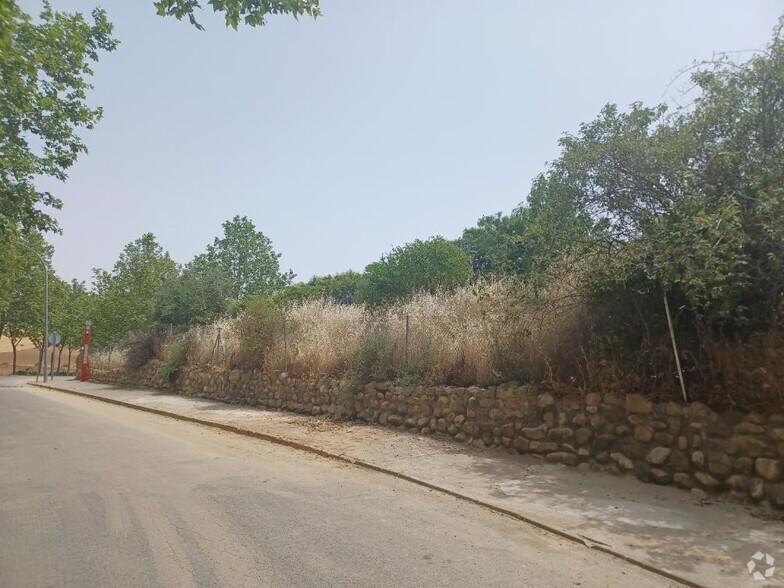 Terrain dans Ribatejada, Madrid à vendre - Photo principale – Image 1 sur 4
