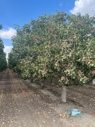 Plus de détails pour Idaho Ave, Hanford, CA - Terrain à vendre