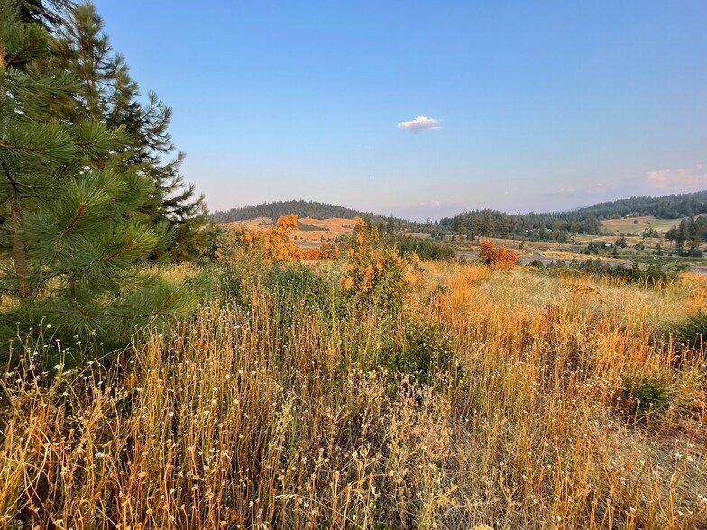 TBD S. Hwy 95 hwy, Worley, ID à vendre - Autre – Image 3 sur 10