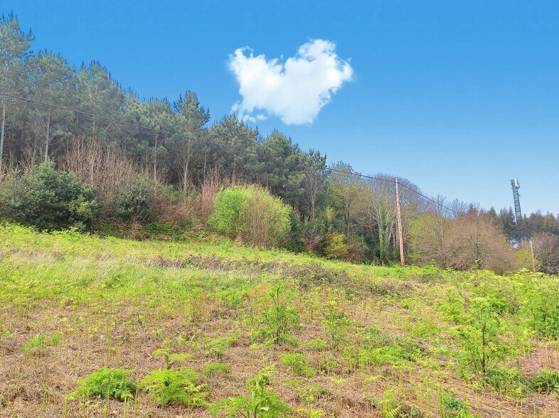 Lugar Cabrois, S/N, Carral, La Coruna à vendre - Photo de l’immeuble – Image 2 sur 7