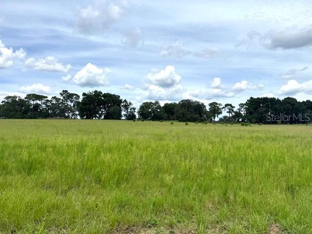 CR 635, Bushnell, FL à vendre - Autre – Image 3 sur 12
