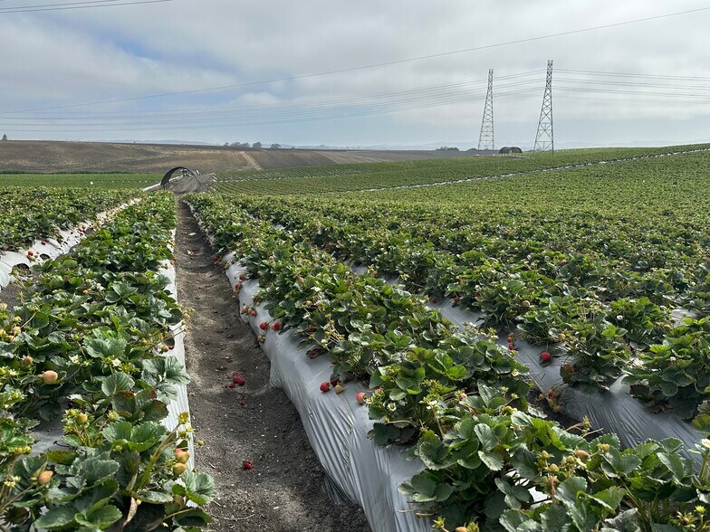 151 Rodgers Rd, Salinas, CA à louer - Photo de l’immeuble – Image 1 sur 7