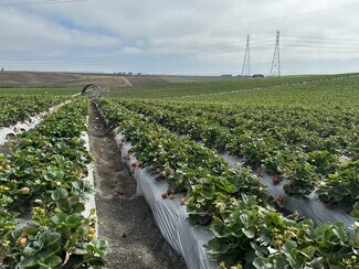 Plus de détails pour 151 Rodgers Rd, Salinas, CA - Terrain à louer