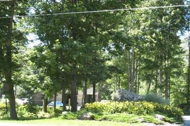 6189 Blue Star Hwy, Saugatuck, MI à louer - Photo de l’immeuble – Image 3 sur 22