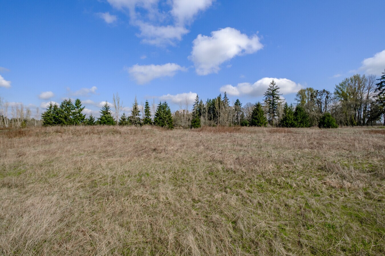 View Photo