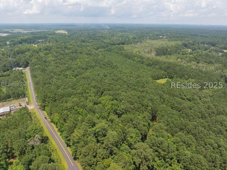 176 Henry Lawton rd, Ridgeland, SC à vendre - Aérien – Image 1 sur 5