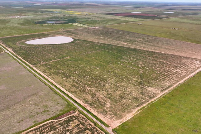 807 County Road 515, Dimmitt, TX à vendre - Photo de l’immeuble – Image 2 sur 5