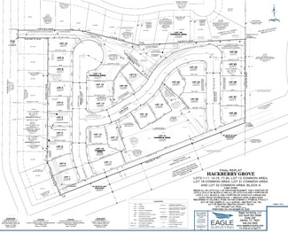Plus de détails pour Mingo Rd, Denton, TX - Terrain à vendre