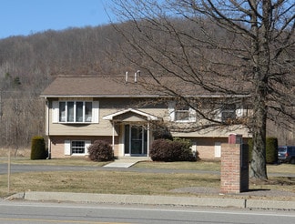 Plus de détails pour 2418 & 2388 S Main St, Mansfield, PA - Bureau à vendre