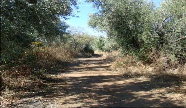 Terrain dans Pinos Genil à vendre Photo de l’immeuble– Image 1 sur 10