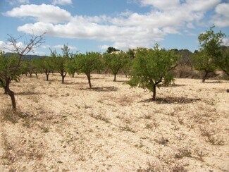 Plus de détails pour Terrain à vendre