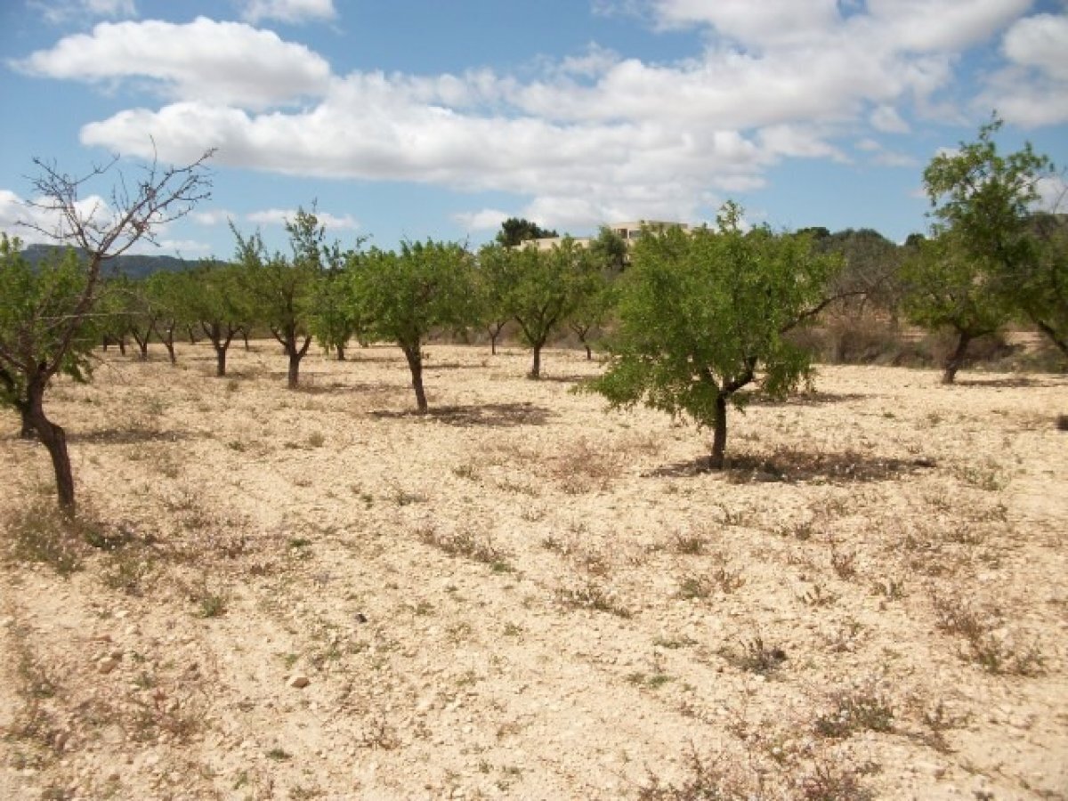 Terrain dans MONÒVER, Alicante à vendre Plan de site– Image 1 sur 4