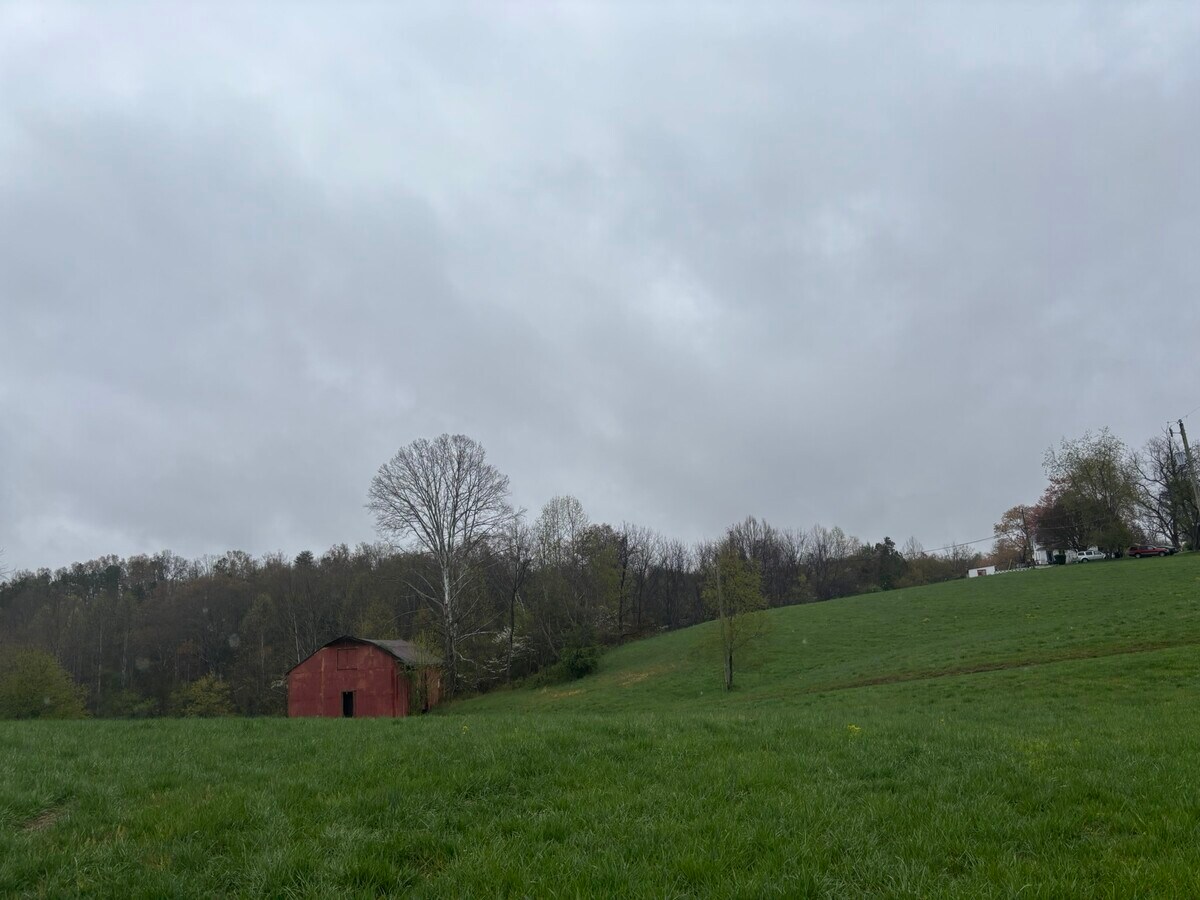 View Photo