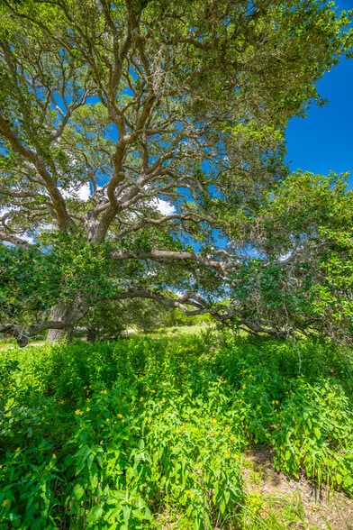 431 County Road 146, Hallettsville, TX à vendre - Photo principale – Image 1 sur 28