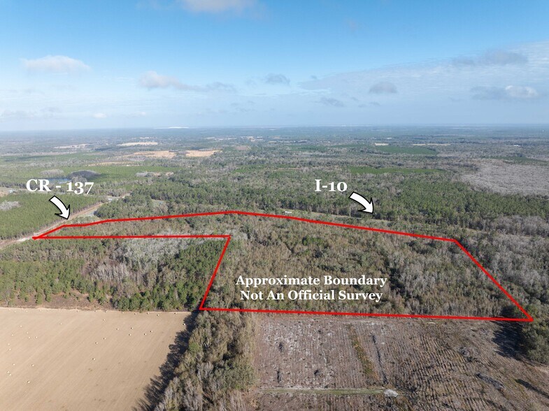 TBD 137, Wellborn, FL à vendre - Photo de l’immeuble – Image 2 sur 19