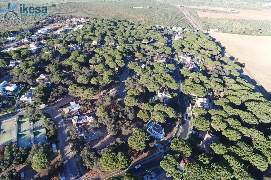 Terrain dans Bollullos de la Mitación à vendre - Photo de l’immeuble – Image 2 sur 9