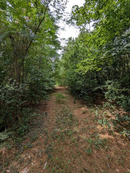 Balfour Road & McNeill Lake Rd, Lumber Bridge, NC à vendre - Autre – Image 3 sur 8