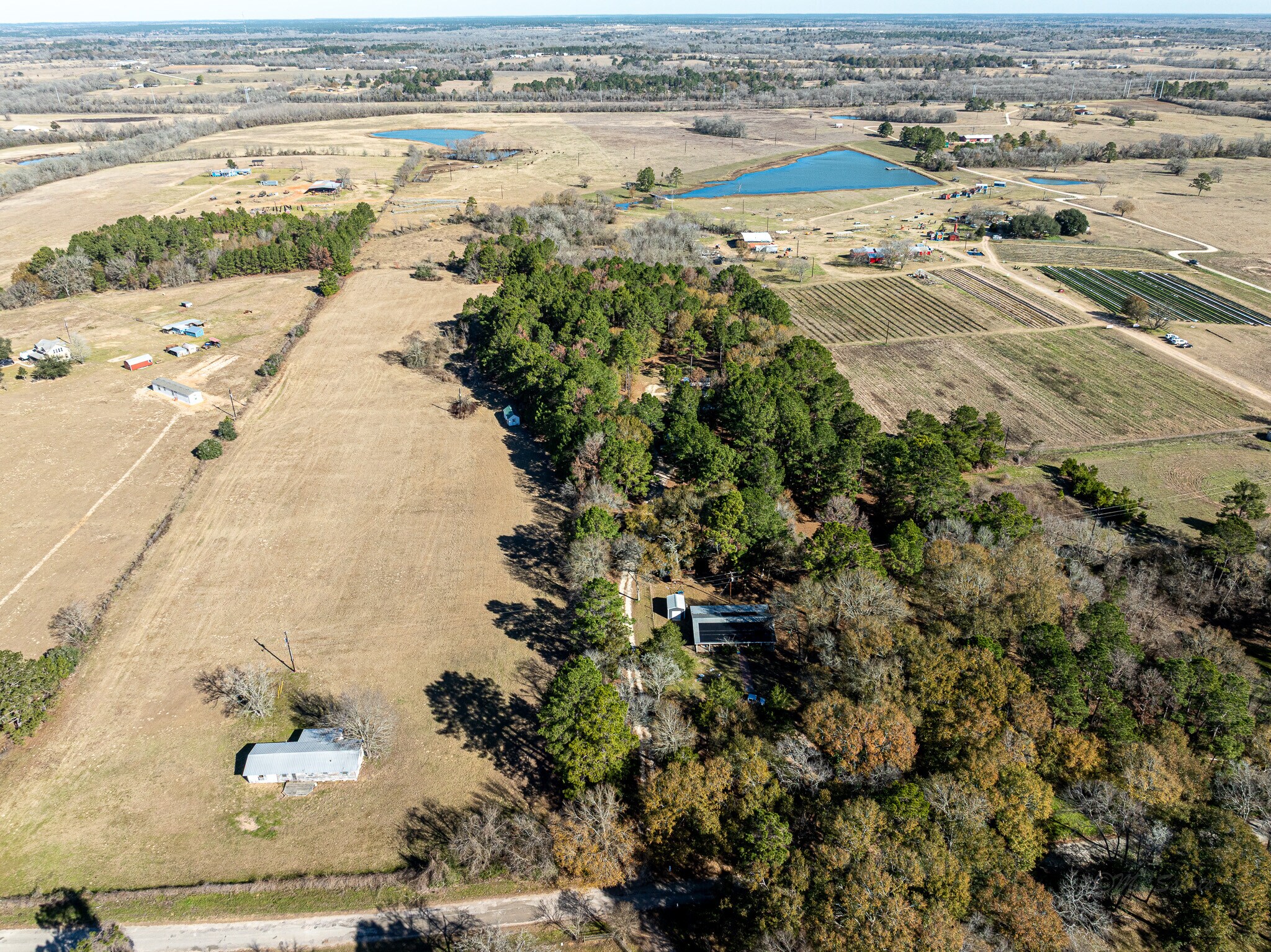 11201 County Road 203, Plantersville, TX à vendre Photo principale– Image 1 sur 64