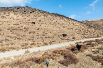 35900 Anthony Rd, Agua Dulce, CA - VUE AÉRIENNE  vue de carte - Image1