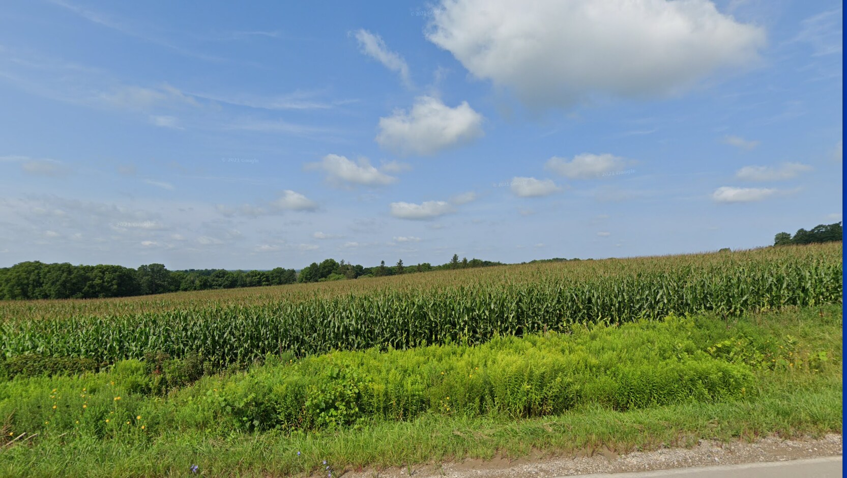 Little Farm Blvd, Astra, ON à louer Photo principale– Image 1 sur 3