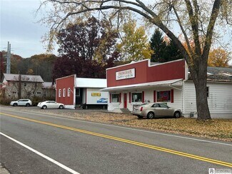 Plus de détails pour 320 Maple Ave, Cassadaga, NY - Local commercial à vendre