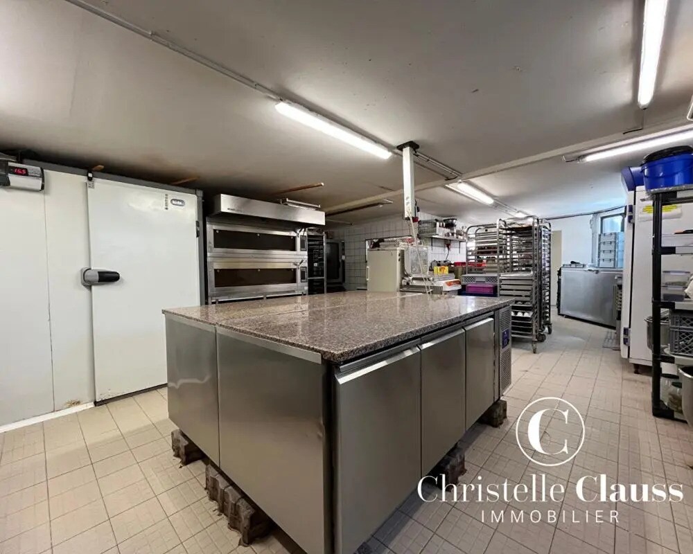 Local d'activités dans Lingolsheim à vendre Photo principale– Image 1 sur 1