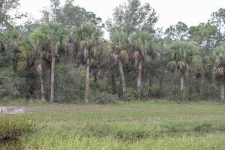 Plus de détails pour 7047 W SR 80, LaBelle, FL - Terrain à vendre
