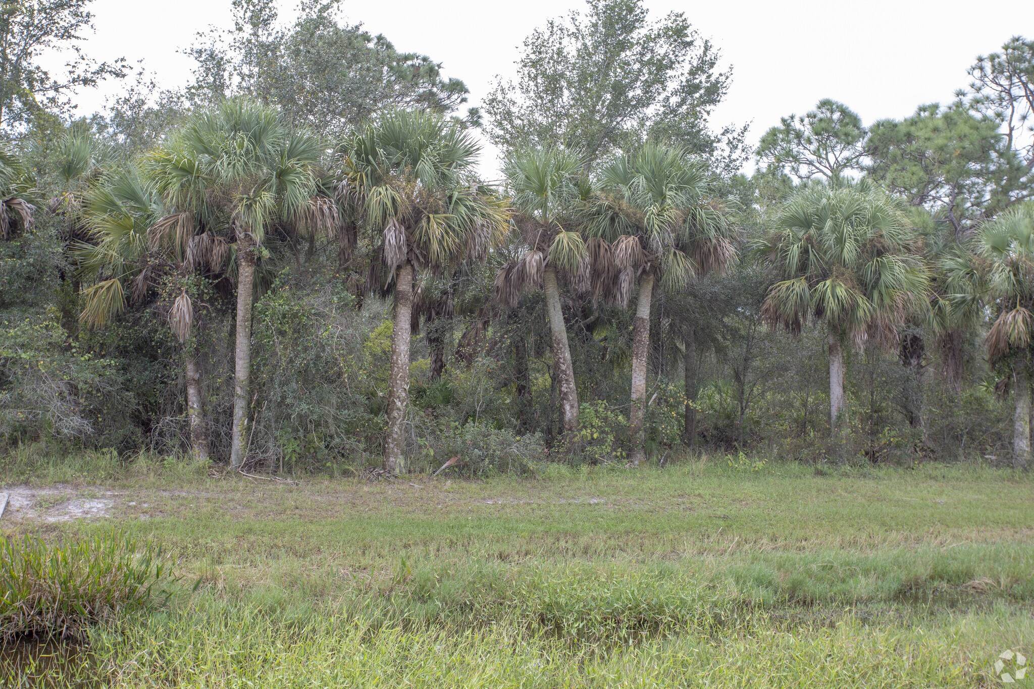 7047 W SR 80, LaBelle, FL à vendre Photo principale– Image 1 sur 9