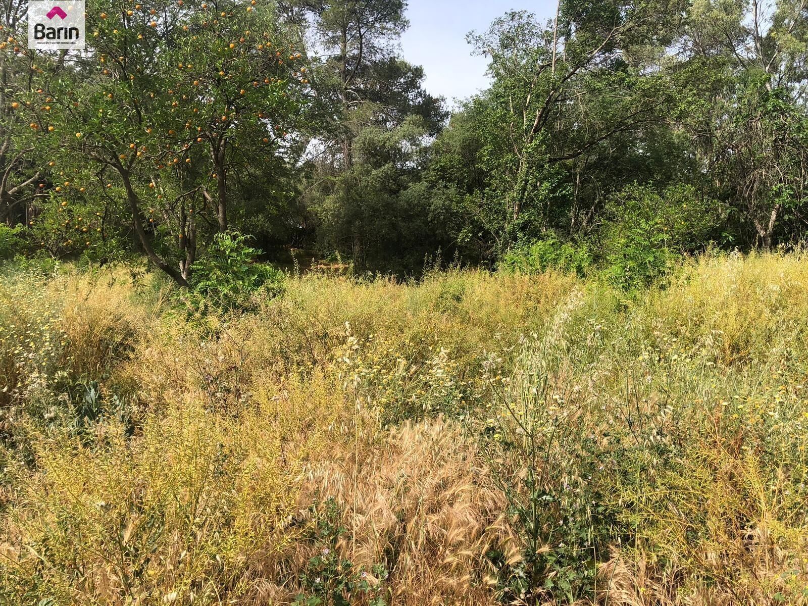 Terrain dans Córdoba, Córdoba à vendre Photo principale– Image 1 sur 2