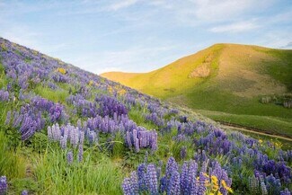 Plus de détails pour TBD Lot 1 Quigley Farm Rd, Hailey, ID - Terrain à vendre