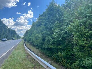 Plus de détails pour Hwy 411 & Maxwell Rd, Rydal, GA - Terrain à vendre