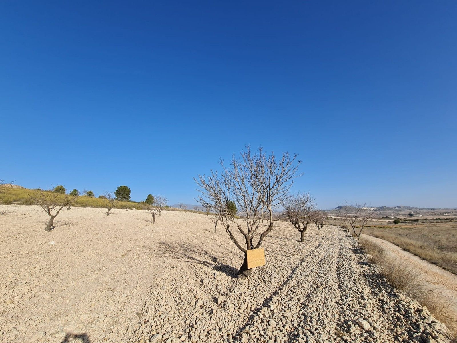 Terrain dans Abanilla, Murcia à vendre Photo principale– Image 1 sur 13