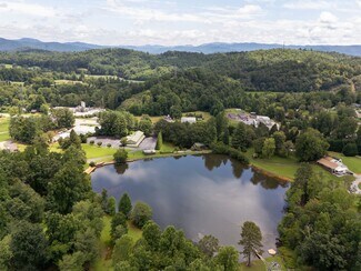 Plus de détails pour 8826 Boylston Hwy, Mills River, NC - Local d’activités à vendre