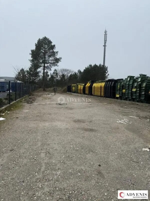  dans Cestas à vendre Photo principale– Image 1 sur 1