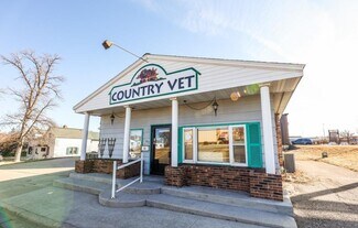 Plus de détails pour 217 Lake St, Alexandria, MN - Local commercial à vendre