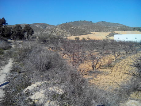 Terrain dans Cehegín, Murcia à vendre - Plan de site – Image 3 sur 8
