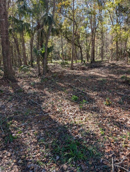 8330 W Grover Cleveland Blvd, Homosassa, FL à vendre - Photo de l’immeuble – Image 3 sur 5