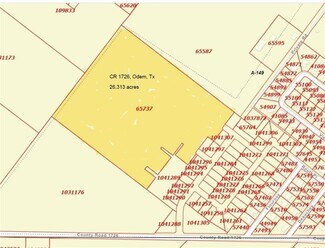 Plus de détails pour 5070 County Road 2047, Odem, TX - Terrain à vendre