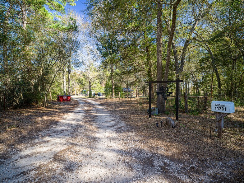11201 County Road 203, Plantersville, TX à vendre - Photo de l’immeuble – Image 3 sur 63