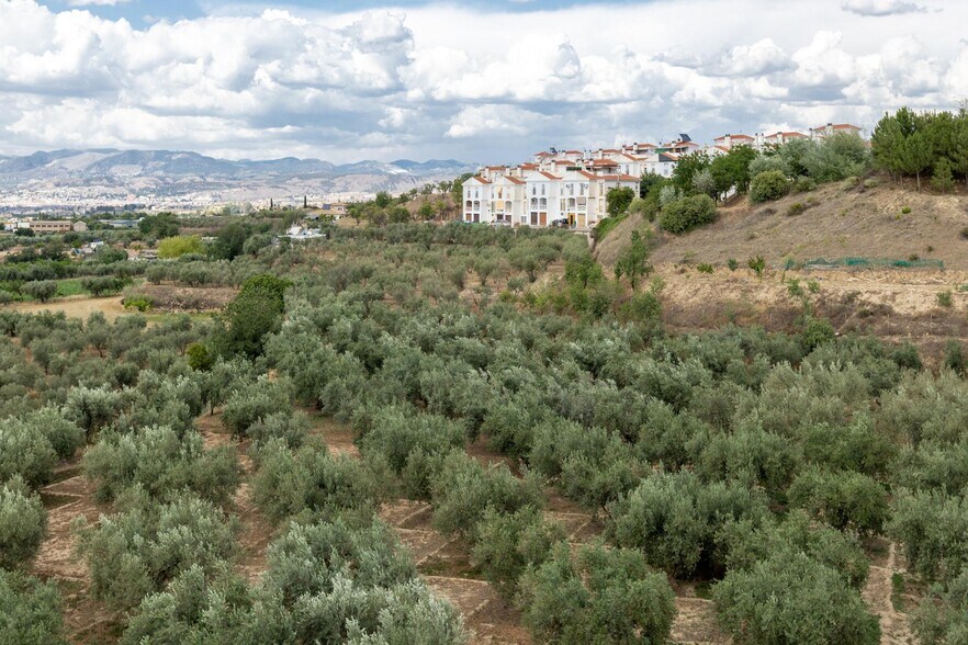Pol, 1, Granada, Granada à vendre - Photo de l’immeuble – Image 2 sur 21