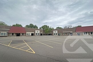 Plus de détails pour 15067-15115 Northville Rd, Plymouth, MI - Industriel/Logistique à louer