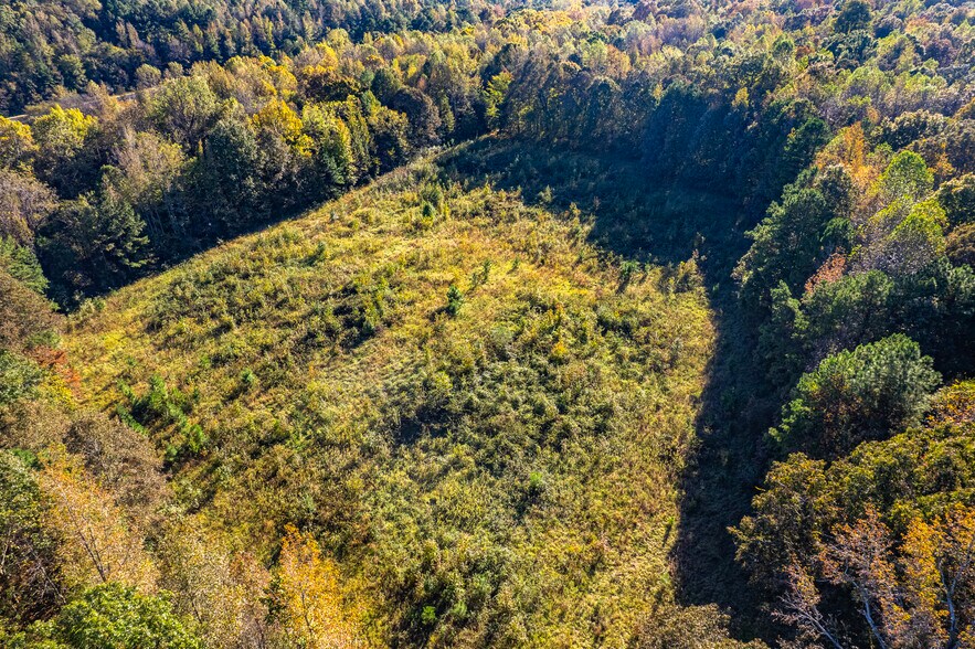 highway 24, Trinity, AL à vendre - Photo principale – Image 2 sur 13